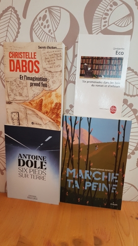 Livres_Noël_2022.jpg